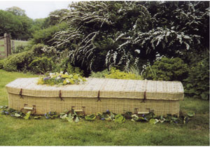 Picture - Bamboo Coffin