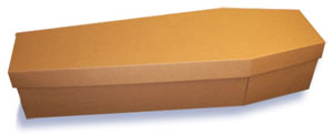Picture - Cardboard Coffin
